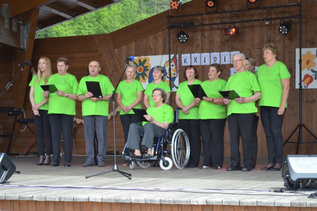 Krídla túžby 2017